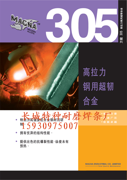 f (Magna)305