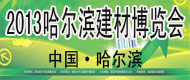 2013Iչ