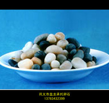 㽭ʯrʯSGʯ