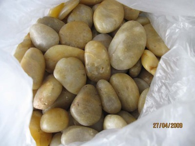 Zʯʯ([ʯ)VϮaƷ ZʯVσr