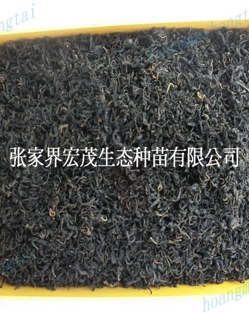 X蹩_ҰX蹩