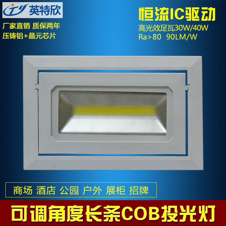 ηˮ COBDͶ LED   ·30W