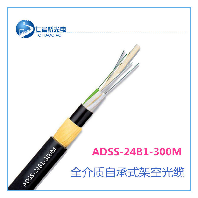 |̖ADSS-18B1-300M-PE|ƃݏSֱN