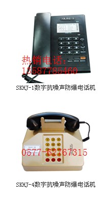 SKCZ-1ֿ̿ؔUԒվSKHJ-1ֿԒC
