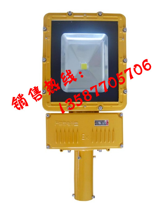 LEDLED·LED100W