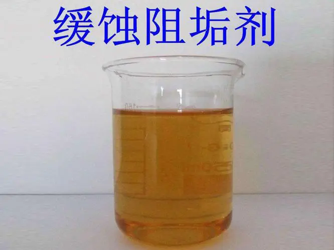蹸Nl