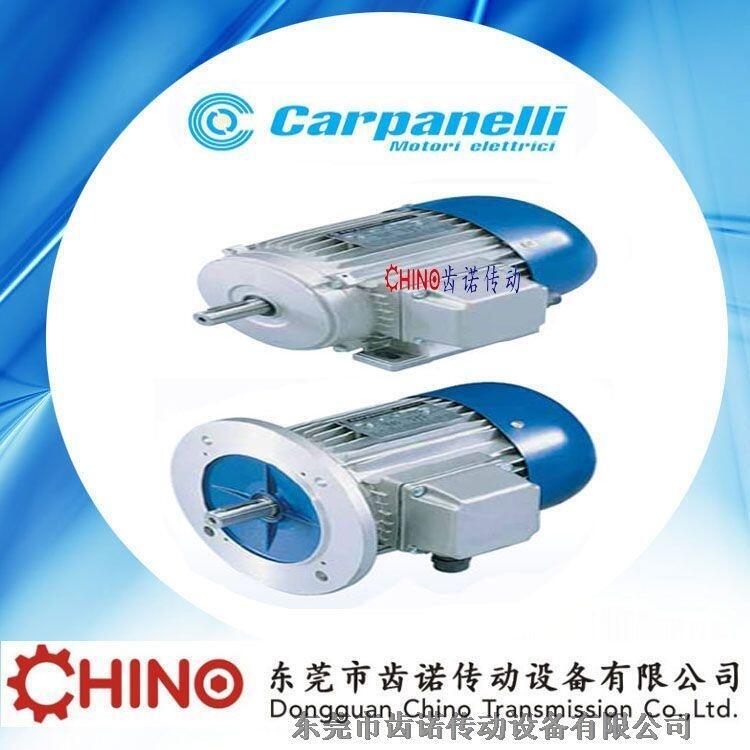 CARPANELLIx܇늙C