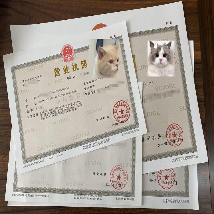 ʯf^｛ISk  ЧC