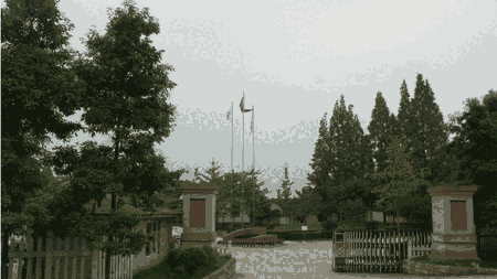 ϾQCO޹˾