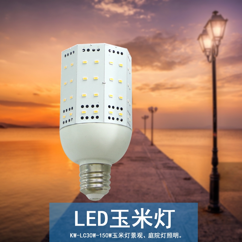 lվן40W60W80WLEDן