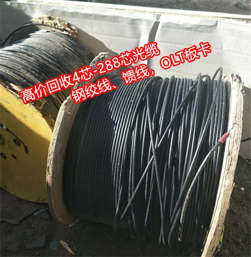24СrTոι|ʣ䓽gǿh߃rվW