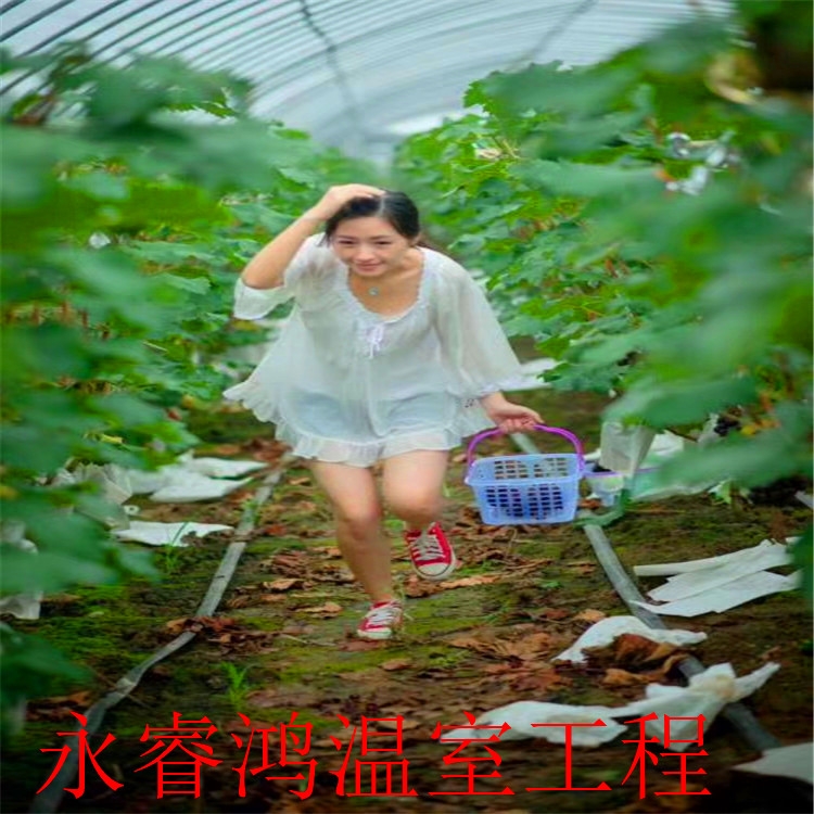 ؛l S r