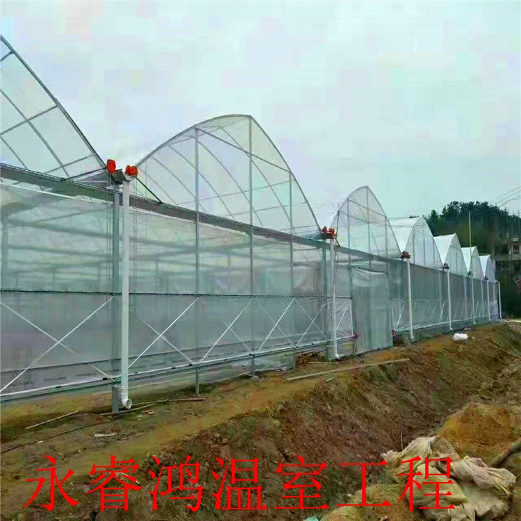 l̶ BҴS 24Сrᾀ