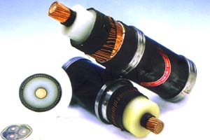 HS113NiⒻѺzߜĥzHS113NiⒻz/̖r
