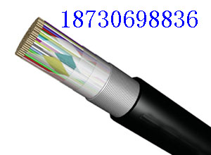 zbͨ|HYA53ϵ