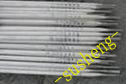 310Mںl_310P䓺