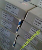 P54Mںl_P54P䓺