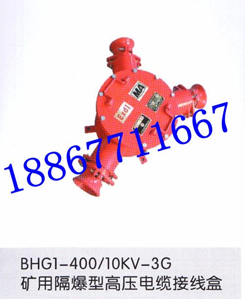 BHG1-ϵеVø߉|Ӿ 10KVV÷Ӿ