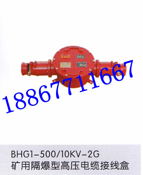 BHG1-400/10KV-2TVø߉ӾУV|Ӿ