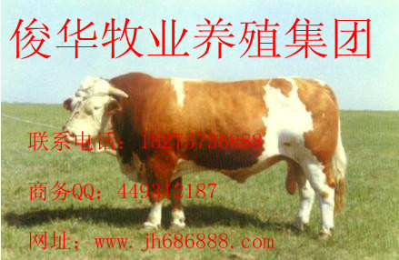 ܘTţBֳTţr