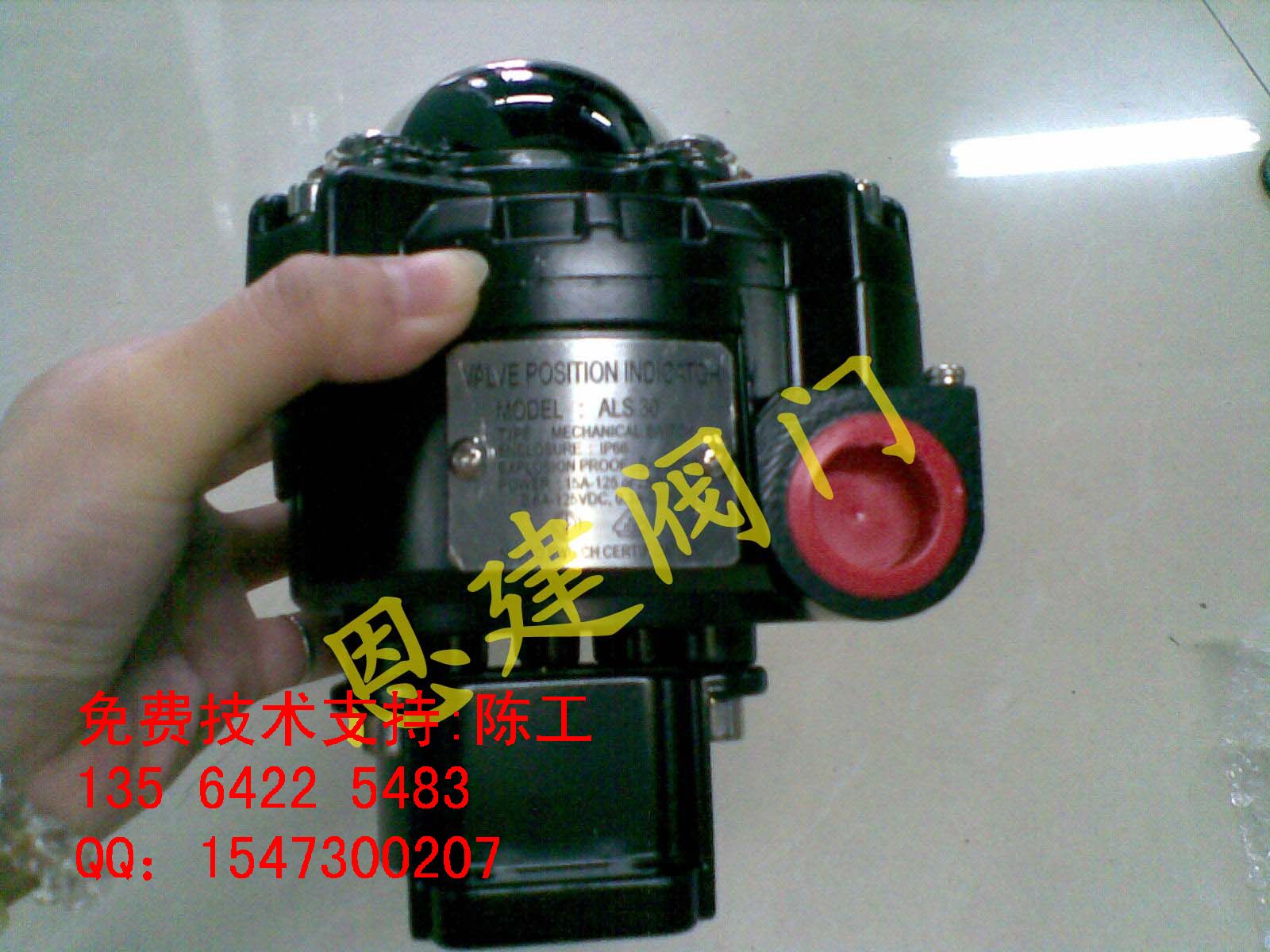 ڱٝ,ALS30λ_P