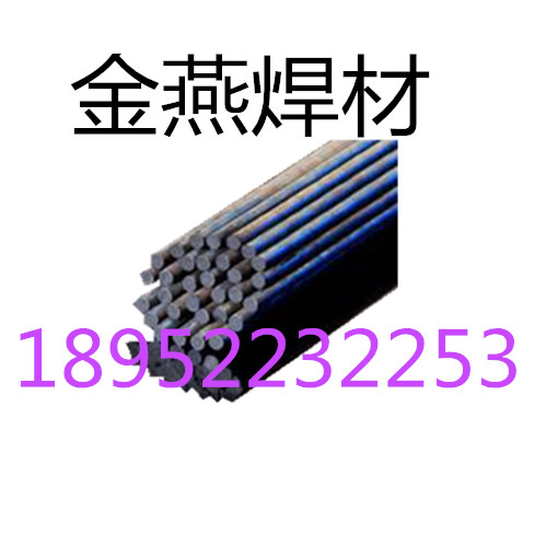 ERNi-1懻z
