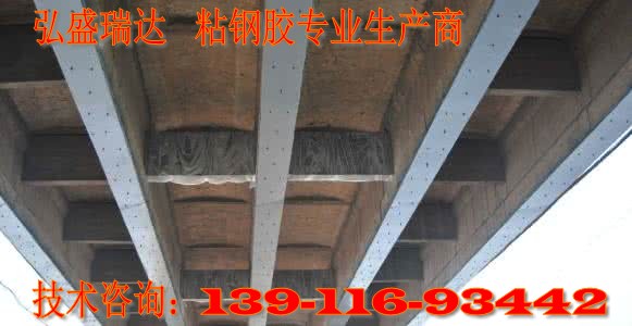 ճzSֱN139/11693/442
