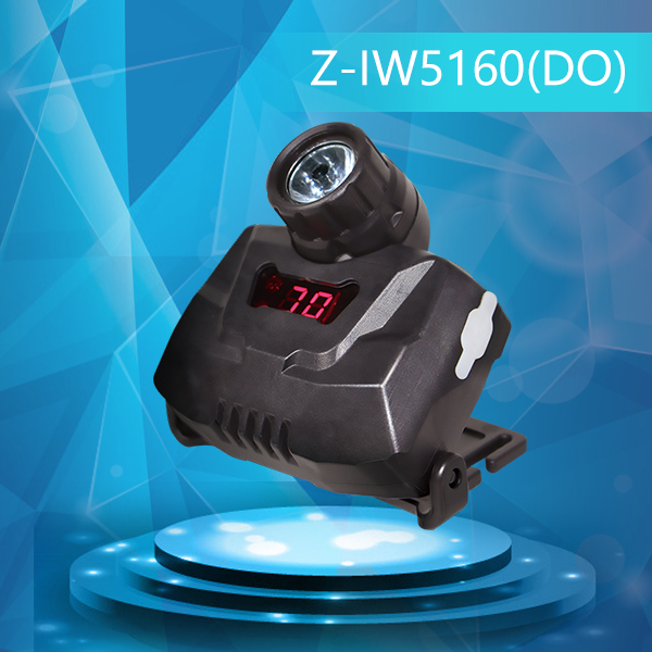 Z-IW5160  ๦܏^