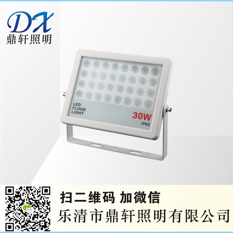 ܎SֱNͶPF74L-30W
