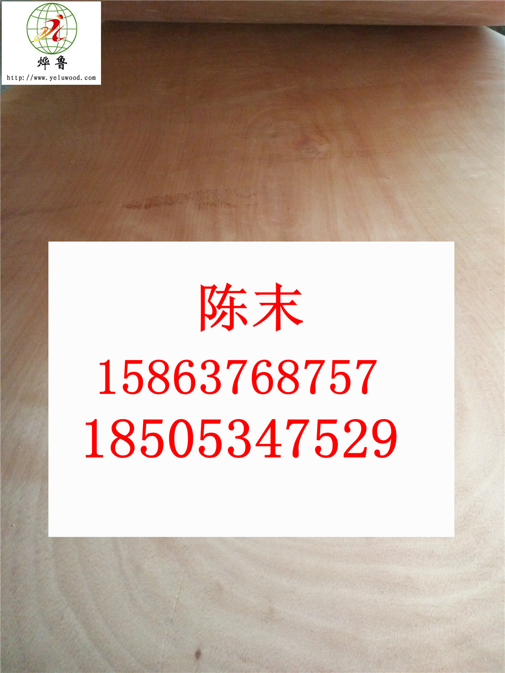 zϰ̓rzϰ48 ΰ bzϰ