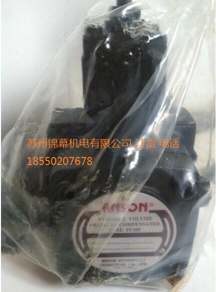 TPF-VL301-GH1-10_ANSONힴ~ƬӋ׃