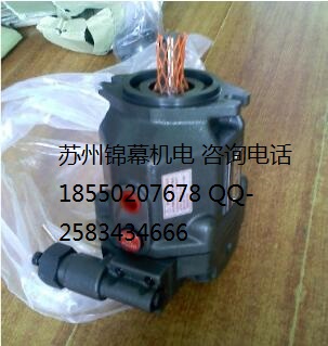 PV2R23-41-125-F-RAAA-41ձYUKENҺpy