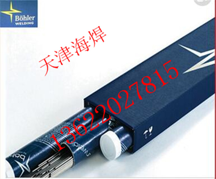 WTGS-317/IGP䓚廡z˜