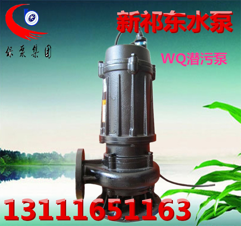 65WQ42-9-2.2ˮ۱ɳɰ[{