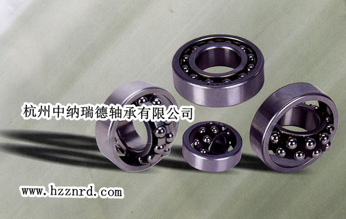 NSK29336ES