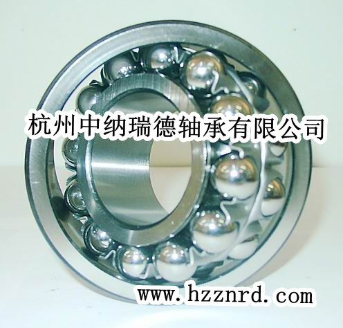 NSK29464MS