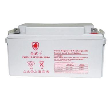 ʿ늳PW65-12 12V65AH/10HR UPS/ֱ SoU