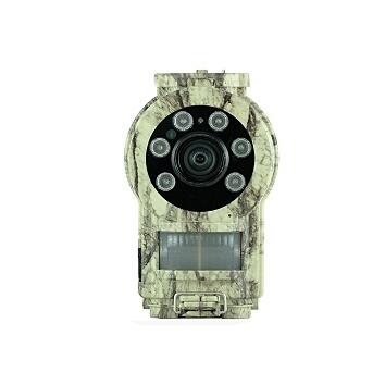 CMINI30ֲOytC
