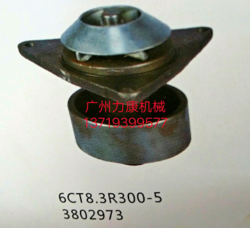 FR300-5˹6CT8.3lәCˮ Ƽ{ɭVо