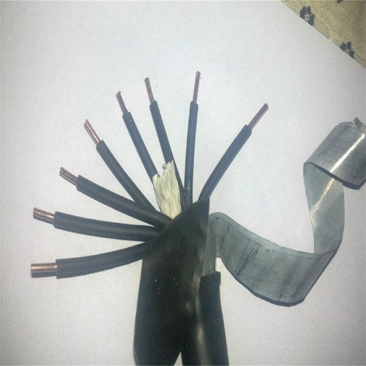  MKVVRVȼ| MKVVPV| aƷ̖ҎRȫо