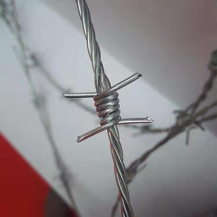 FݬF؛\KSҹFꖹ@F޼̾xȦ䓽zK