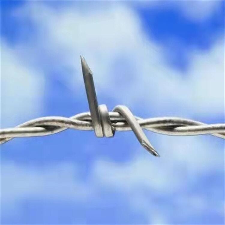 V|F؛䓽zKSҹVݎ̷IoڷIFzW