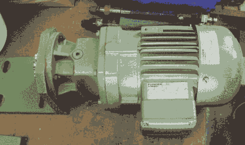 Rieglers՚ֹyݹ