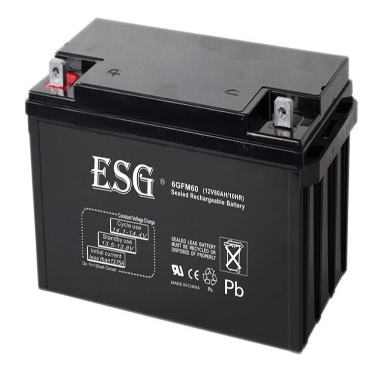 ESG늳̖Rȫ6GFM60ߴ缰