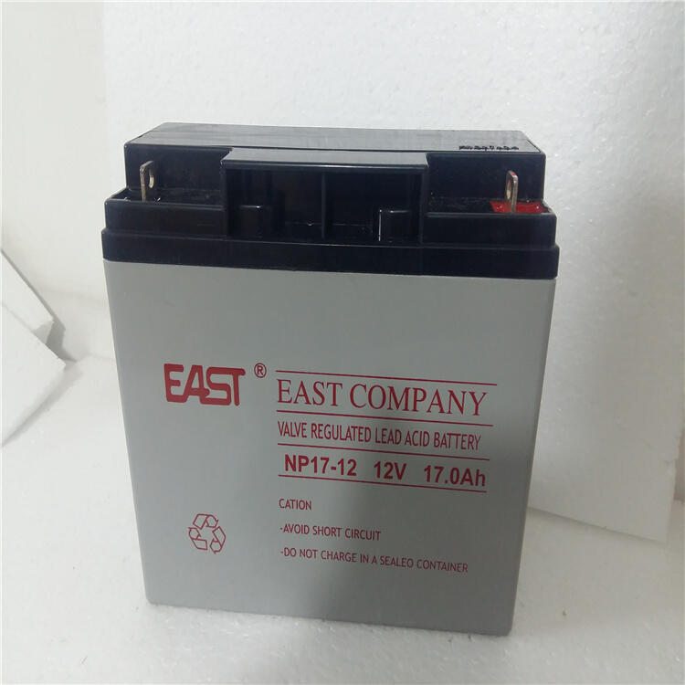 EASTSoups늳NP38-12 12V38AH