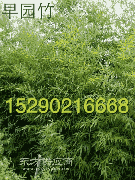 3Јlr
