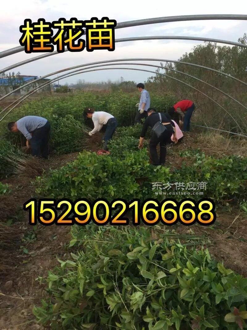 23ޱl