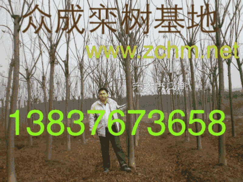 4ְռtlr