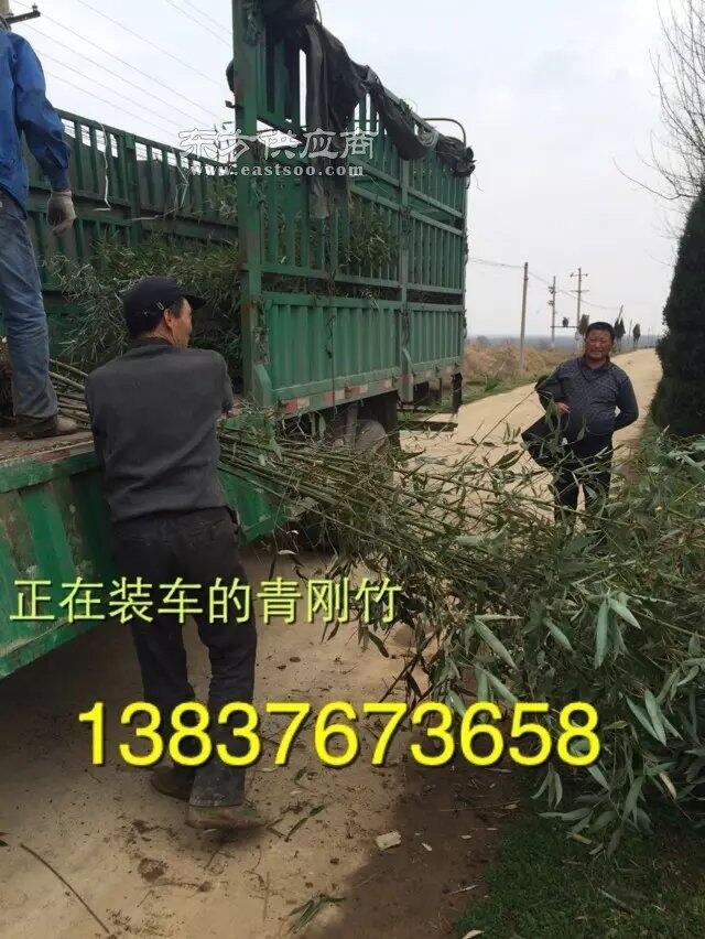 괨3ޱX