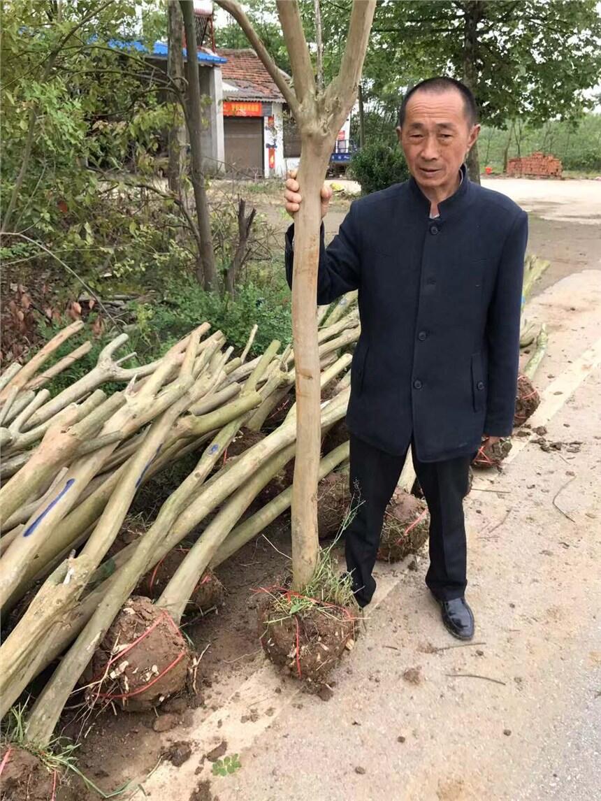 Ͻzllr